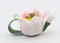 Ceramic Ladybug on Lily Flower Mini Teapot, Home Décor, Gift for Her, Mom, Farmhouse Kitchen Décor, Vintage Decor